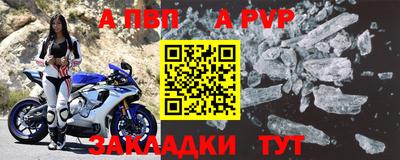 стафф Донской