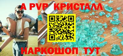 стафф Донской